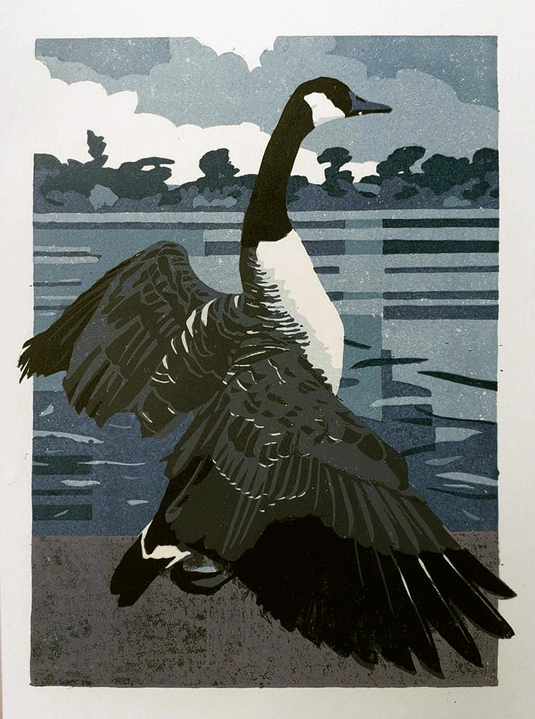 Ellesmere Goose