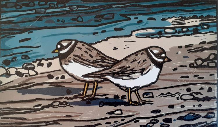 Chilly Ringed Plovers